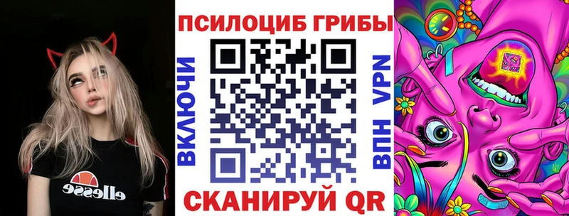 сколько стоит  Вольск  Псилоцибиновые грибы MAGIC MUSHROOMS 